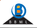 BPDB